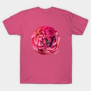 Dahlia - Front Graphic T-Shirt